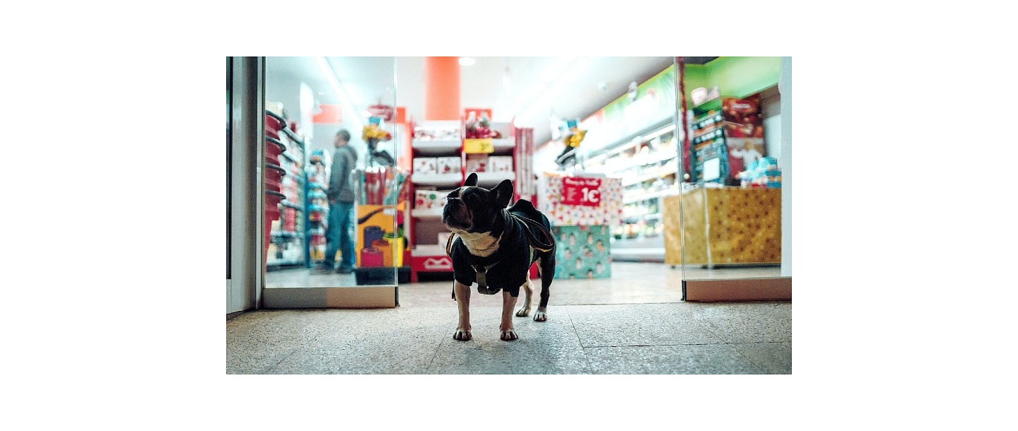 Veterinary clinic and shop
