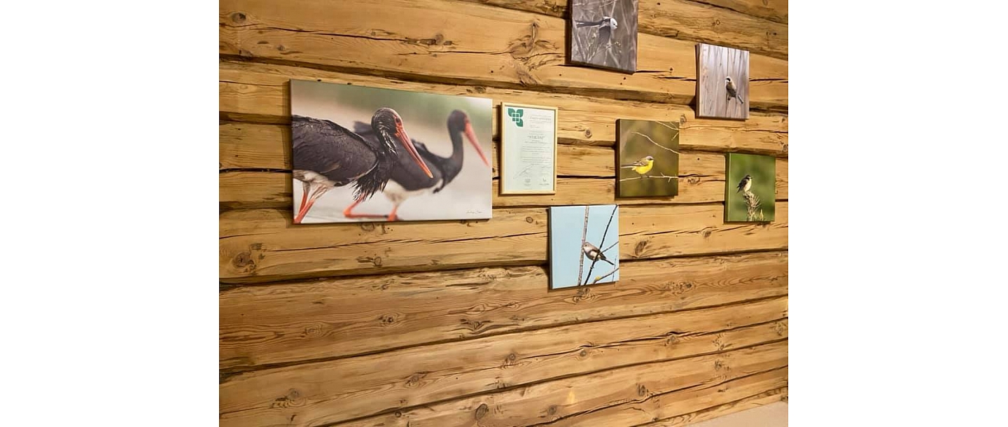 Гостиница и размещение в Резекне