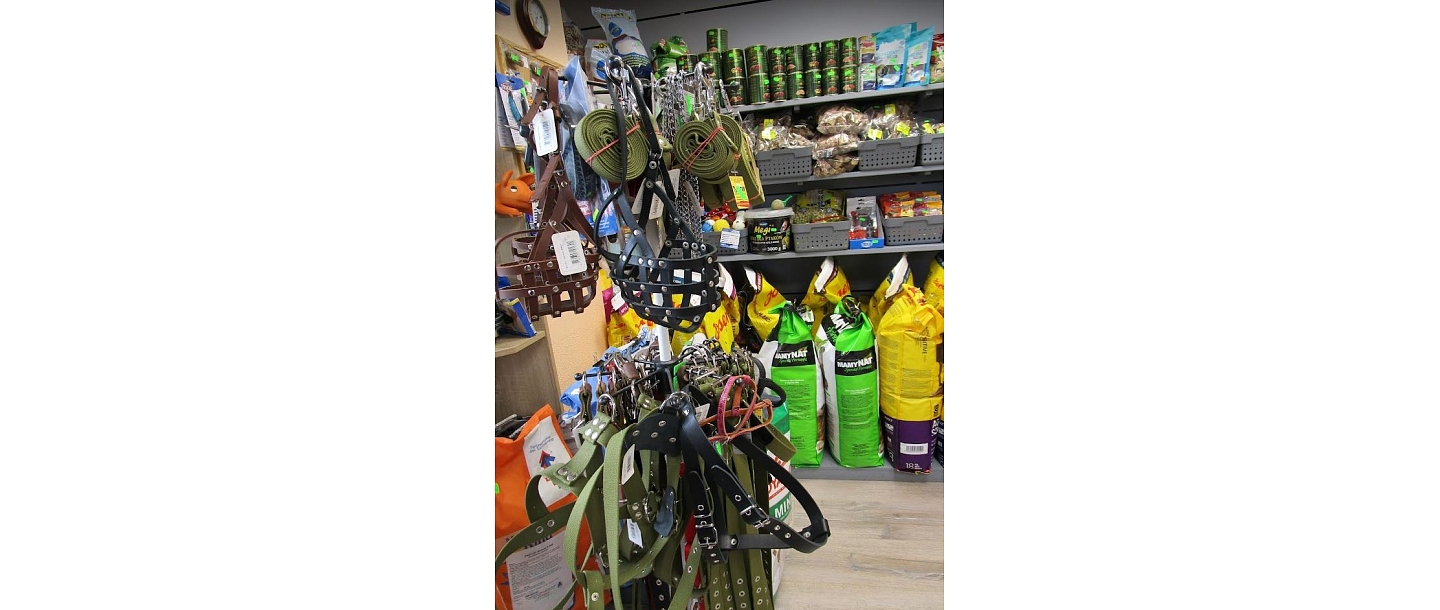 zoogoods, accessories.