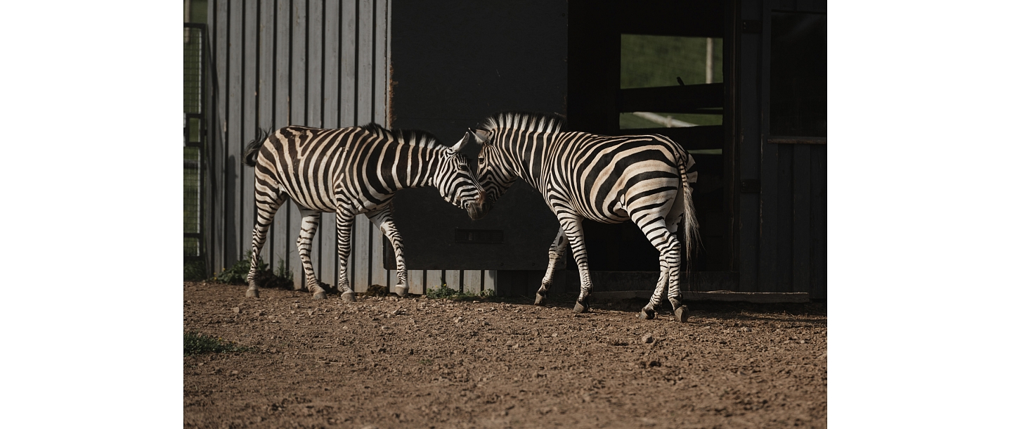 Siguldas ZOO