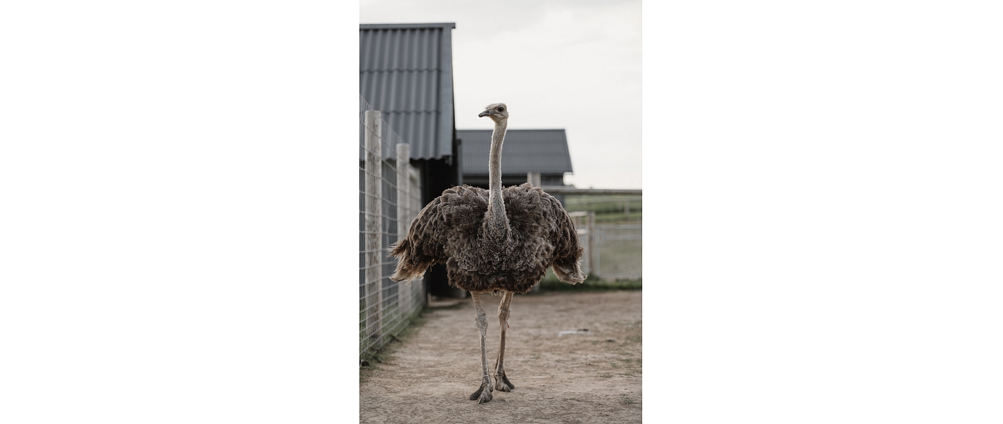 Сигулдский зоопарк