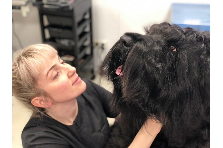 Animal care