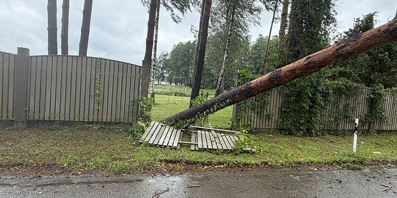 Koku izvērtēšana pirms mājas būvniecības – kā savlaicīgi pasargāt īpašumu no vētras postījumiem?