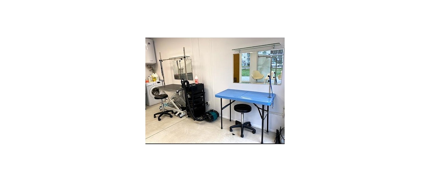 Barber Dog, парикмахерская для собак и кошек в Зиепниеккалнсе