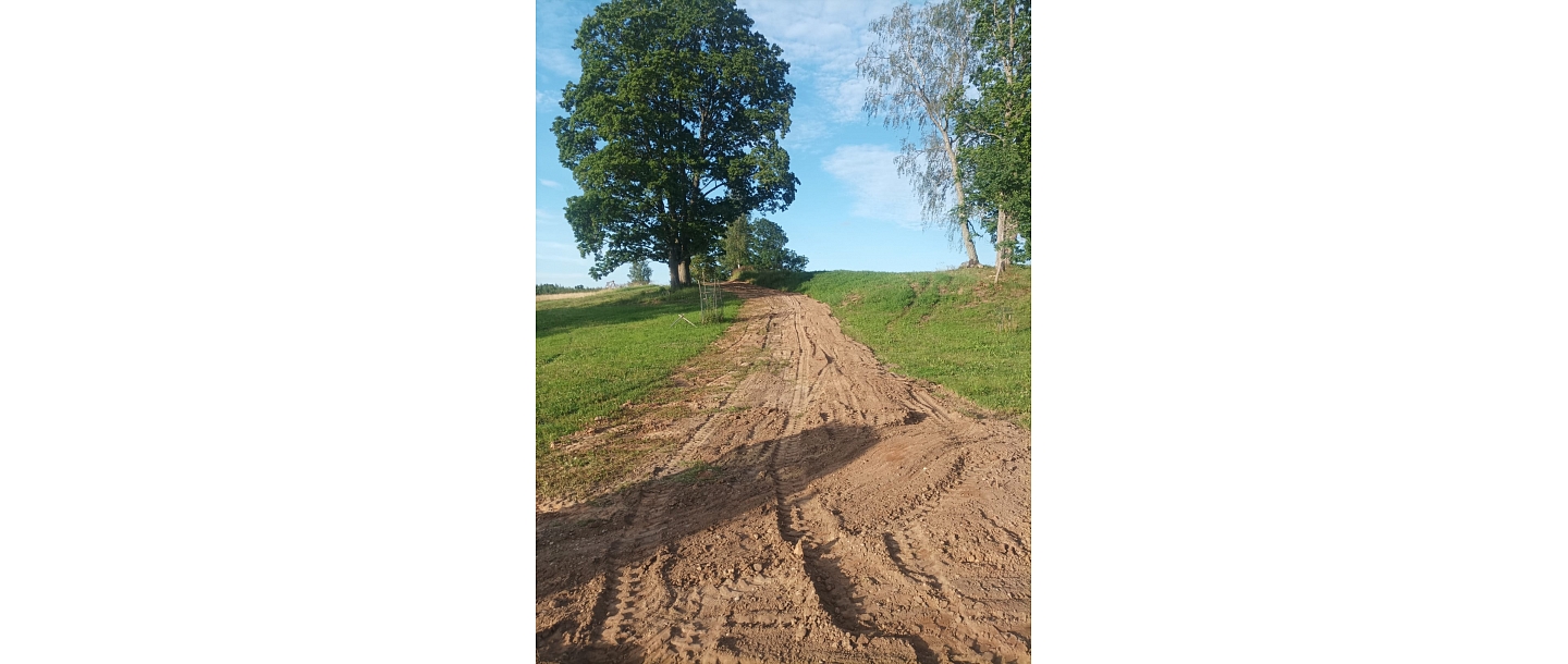 excavator services