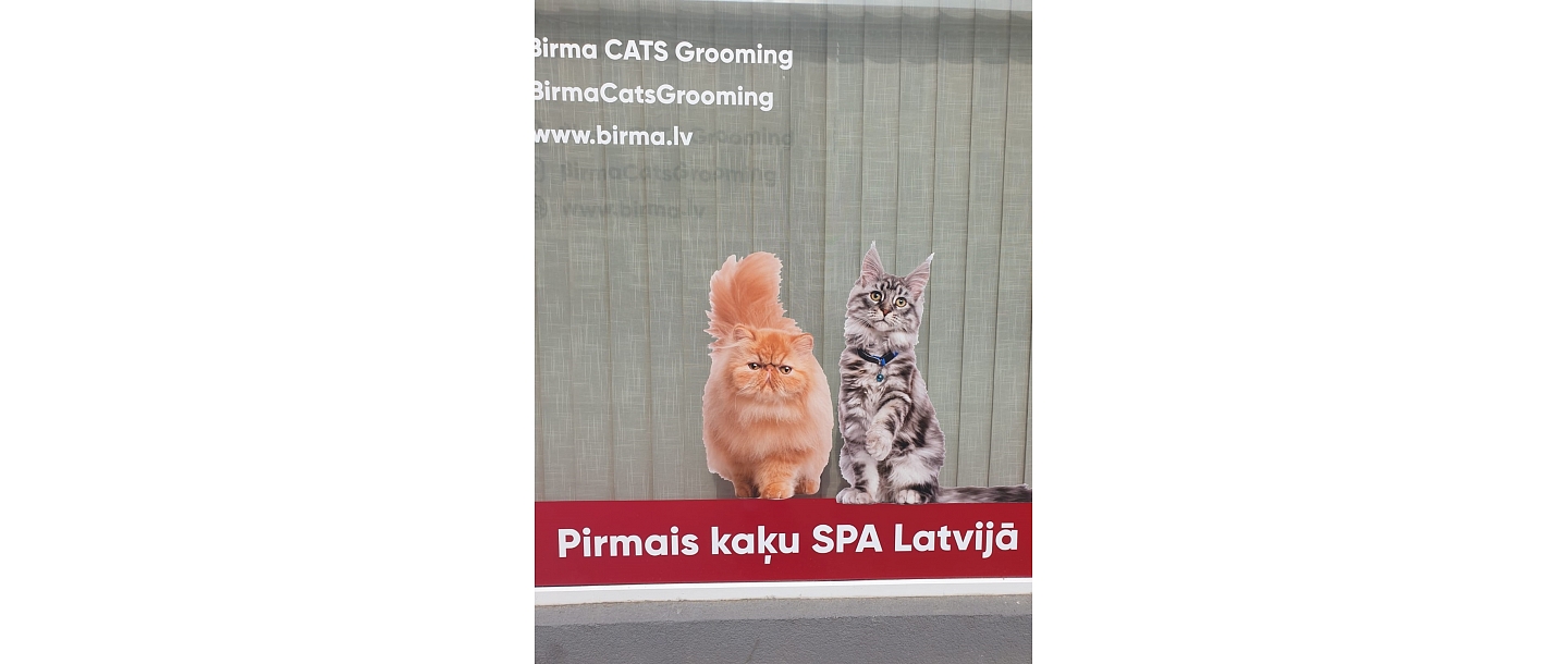 Pirmais kaķu SPA Latvijā