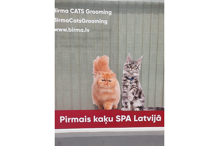 Pirmais kaķu SPA Latvijā