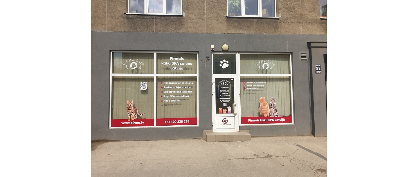 Washing and drying cats