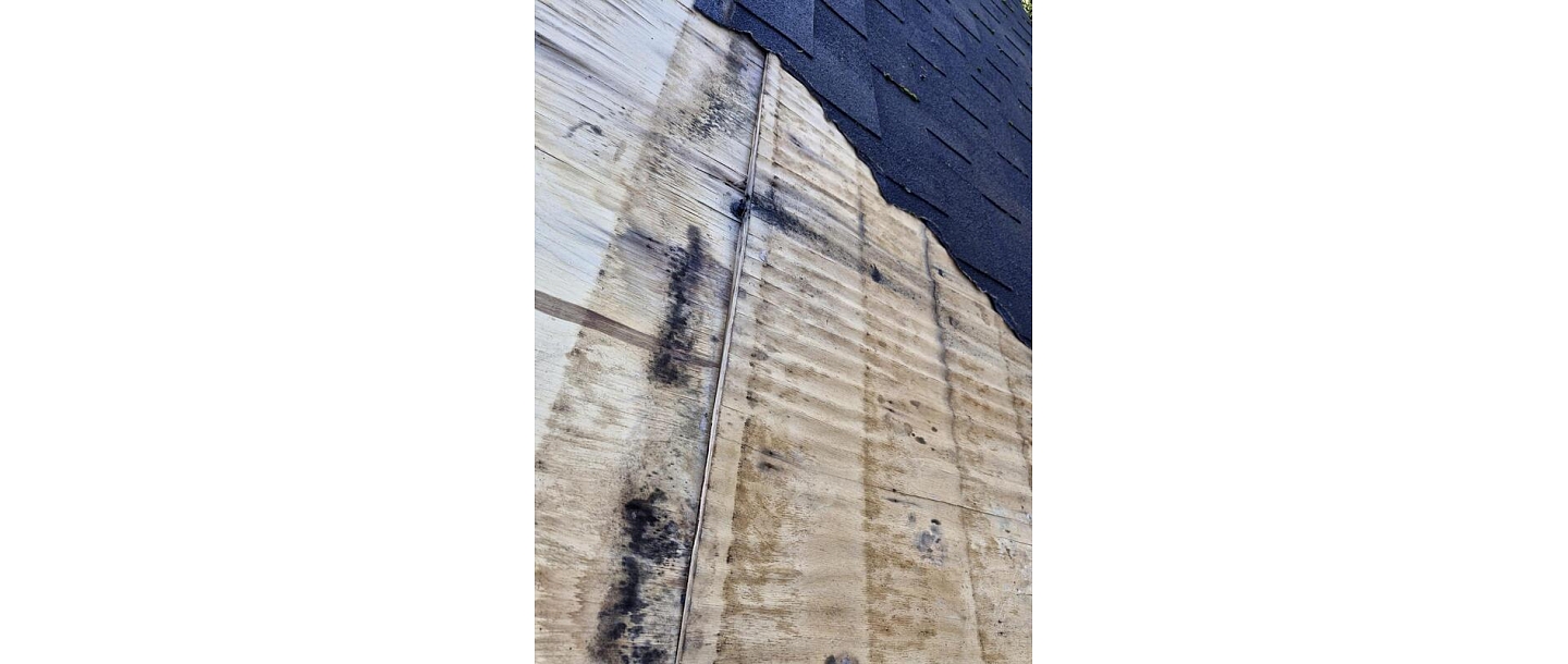 Roof covering change