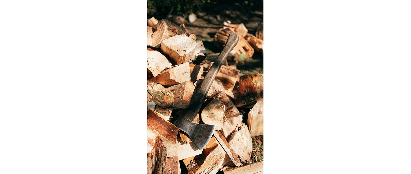 Meža apsaimniekošana