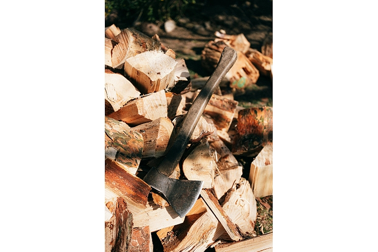 Forest administration