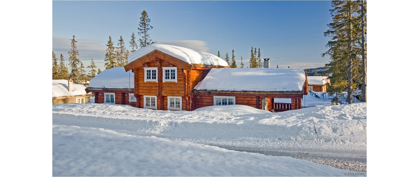 Assembly of log building frames