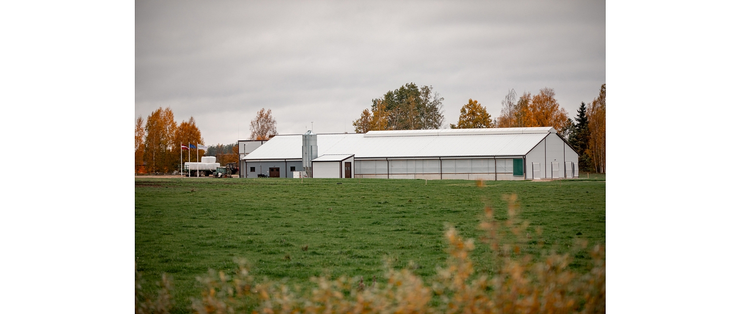 Construction of hangars