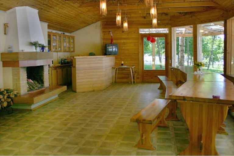 Fireplace hall
