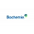 Bochemite