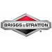 Biggs&Stratton