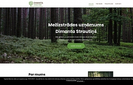www.dimantastrautins.lv