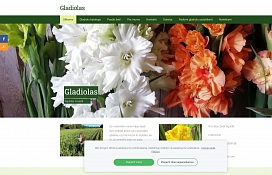 www.gladiolas.lv/