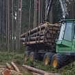Forestry machinery