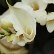 Funeral floristry