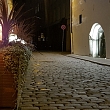 Pusdienas