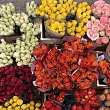 Cut flowers
