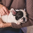 Massage for animals