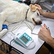 Slimību diagnostika