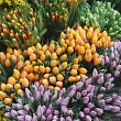 Flower bouquets