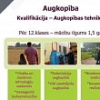Programs after 12. graduation