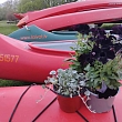 Family vacation on the water