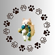 Toys, collars, beds, bowls