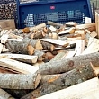Firewood