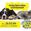 Veterinarian services