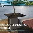 Koku sakņu aizsardzība
