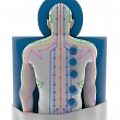 Rehabilitation services
