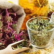 Phytotherapy