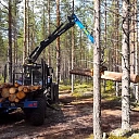 Forest equipment