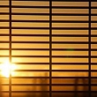 Blinds
