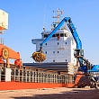 Stevedore services