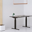 Kāpēc Standesk?