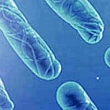 iVF Riga Genetics Center