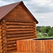Small sauna with a cold tub