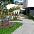 Roof gardens