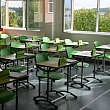 Special education