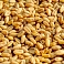 Пункт приемки зерна Latraps