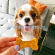 For a dog