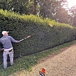 Gardening services