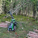 Forestry