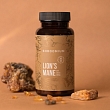 Lion's Mane ekstrakts
